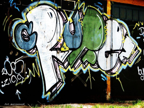 rybnickie graffiti - na garażach