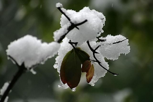 pierwszy śnieg.... 14.10