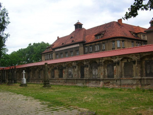 Leszno (wielkopolskie) - lapidarium