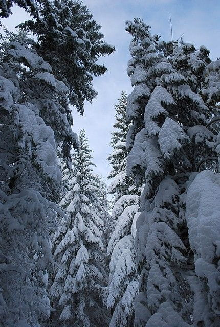 karpacz , góry , śnieg