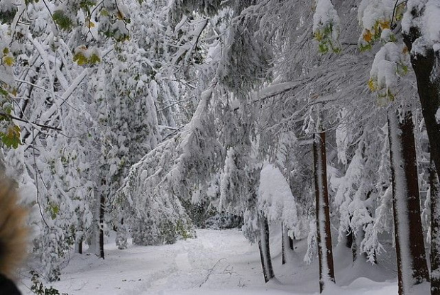 karpacz , góry , śnieg