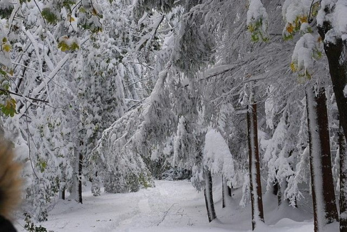 karpacz , góry , śnieg