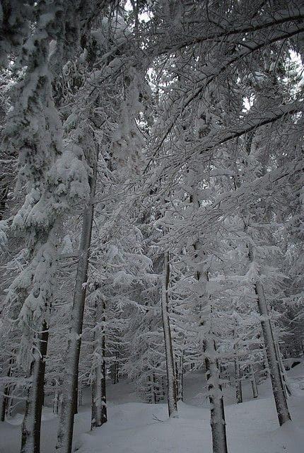 karpacz , góry , śnieg