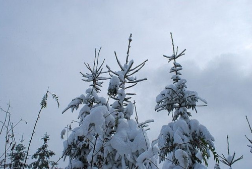 karpacz , góry , śnieg