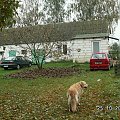 Nad rzeką kasztan a u nas orzech bardzo porządnie liście zrzuca