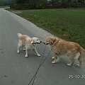 Bez dyskusji kto dzisiaj prowadzi się nie obeszło