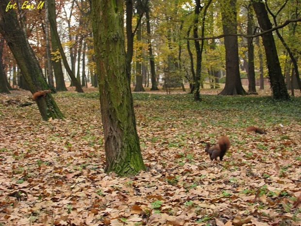 w kadrze zmieściły się tylko trzy, pozostałe 5 latało dookoła :)