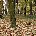 w kadrze zmieściły się tylko trzy, pozostałe 5 latało dookoła :)