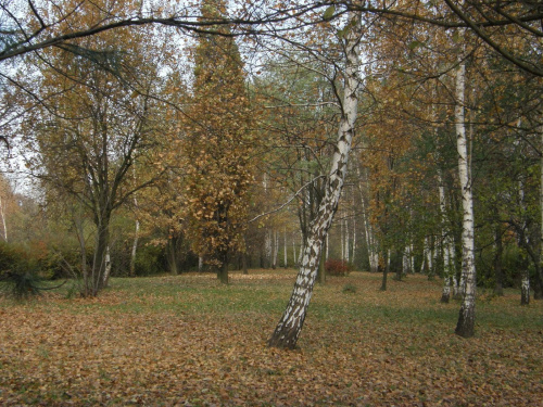 Jesienna Dolina Trzech Stawów
