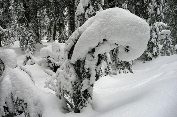 2009.03.19 TATRY v2