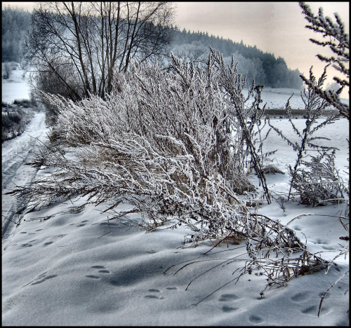 Zima - Luty 2009 #zima #NatyraPejzaz