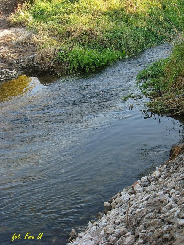 struga pod Szczedrzykowicami