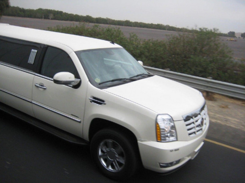 Cadillac Escalade Limo