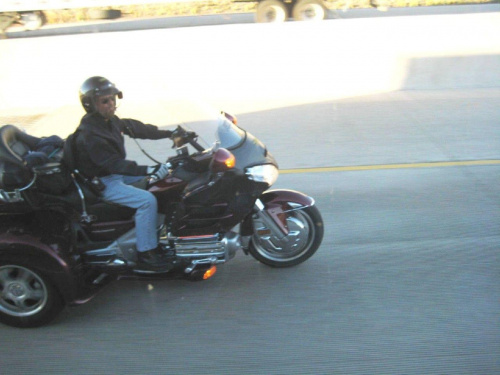 Gold Wing