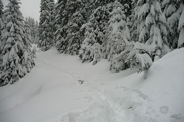 2009.03.20 TATRY v2