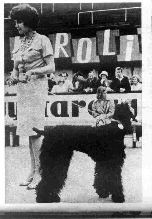 skan z gazety Panorama z 1963 r. Moja Mama na wystawie psów z naszym pudlem królewskim Aresem :)