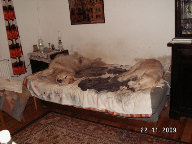 W tej chwili