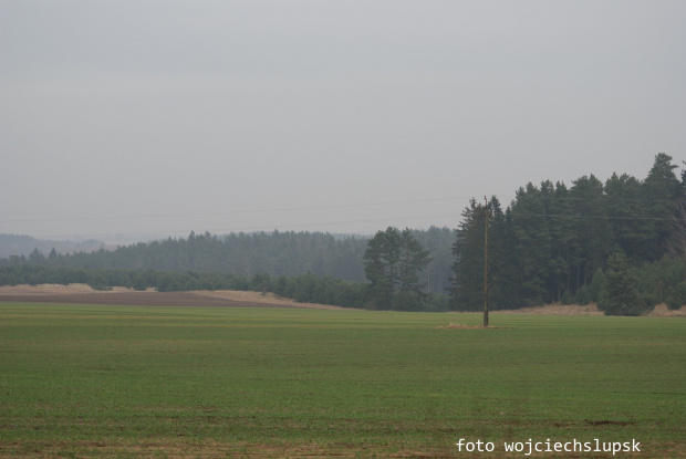 wczorajszy spacerek