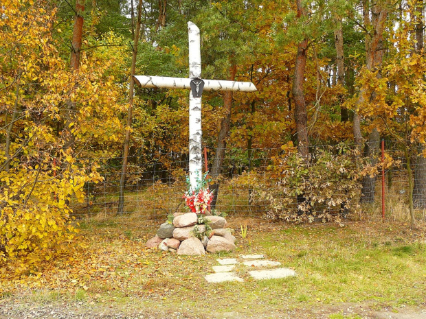 Krzyż przy innym skrzyżowaniu dróg również przy Trakcie Napoleońskim. #jesień #krzyż