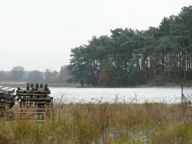 Pierwszy opad śniegu #śnieg