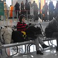 Dublinm, Edukacja włączająca - szkoła dla wszystkich