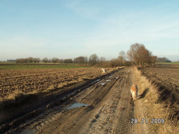 A moje biedactwa toną w błocie