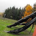 Bolonia, seminarium na temat praw dziecka niepełnosprawnego w 20 rocznice Konwencji Praw Dziecka