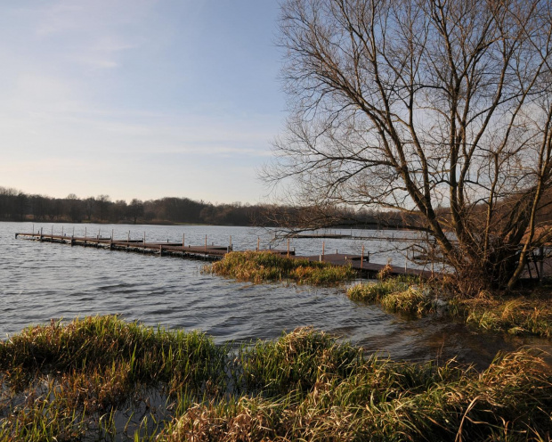 Nietypowy, słoneczny listopad