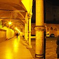 Bolonia, seminarium na temat praw dziecka niepełnosprawnego w 20 rocznice Konwencji Praw Dziecka