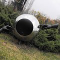 Bolonia, seminarium na temat praw dziecka niepełnosprawnego w 20 rocznice Konwencji Praw Dziecka