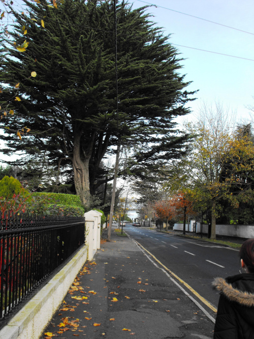 Malahide (Evergreen, GranHotel), Dublin