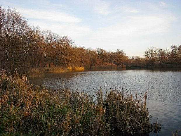 park w Leśnicy :)