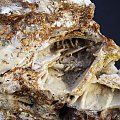minerały z okolic Wir i Jegłowej