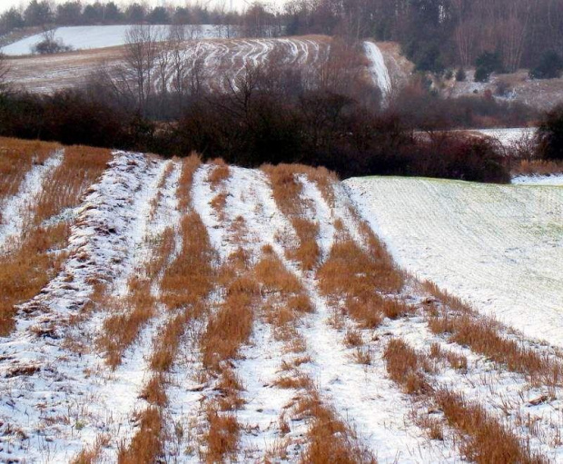 dzis na spacerku .....trochę z piesiem zmarzłyśmy...... :)))