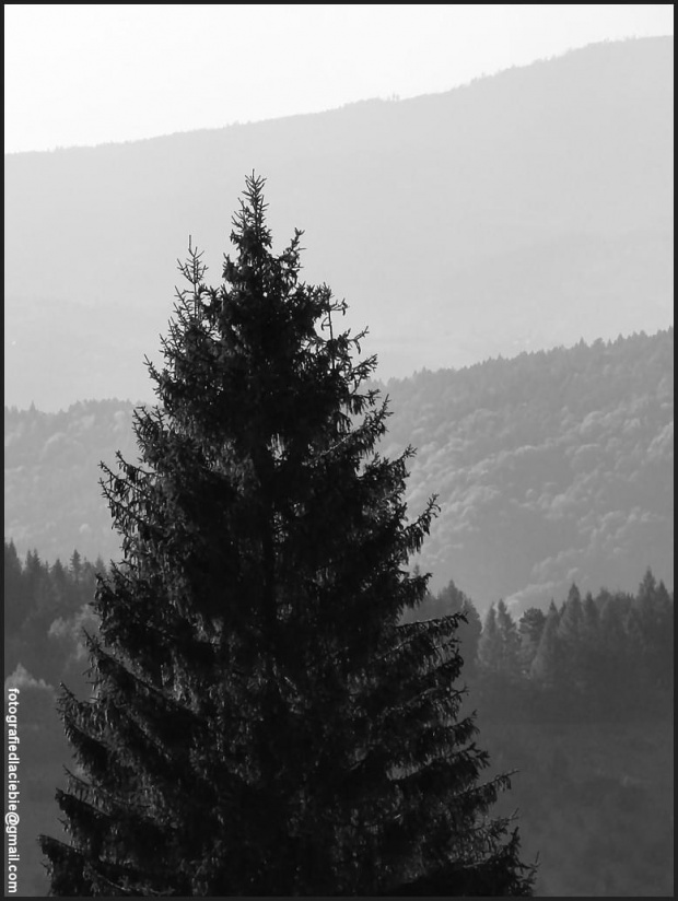 Blisko, dalej, najdalej ... #Krynica #Wierchomla #góry #widoki #panorama #drzewa #natura #jesień