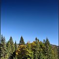 Krynica - Wierchomla 2007 #Krynica #Wierchomla #góry #widoki #panorama #drzewa #natura #jesień