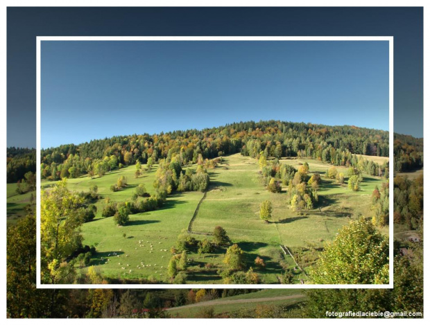 Widokówka #Krynica #Wierchomla #góry #widoki #panorama #drzewa #natura #jesień