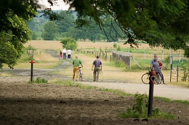 Wyśmierzyce 2008 #konie #Mazowsze #miasto #Polska #Wyśmierzyce