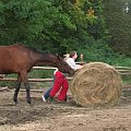 karmienie koni #FundacjaTara #Tara #piskorzyna #KONIE #wolontariat