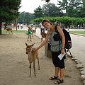 W miejscowosci Nara jest park- Nara Park w ktorym swobodnie chodza sobie daniele-mozna do nich podejsc,poglaskach, a jeszcze lepiej mozna je nakarmic! sa bardzo glodne...zjadaja nawet mapy turystyczne...