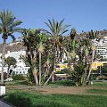 Gran Canaria - holidays 6