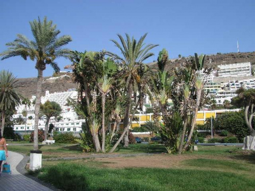 Gran Canaria - holidays 6