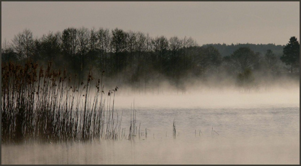 #mgła #natura #jezioro #poranek