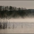 #mgła #natura #jezioro #poranek