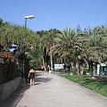 Gran Canaria - holidays 6