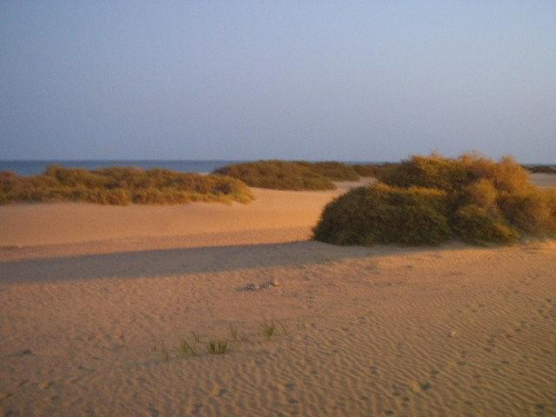 Gran Canaria - holidays