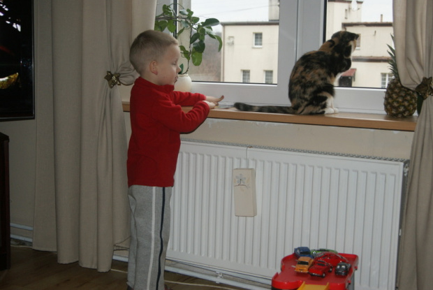 wizyta na wsi