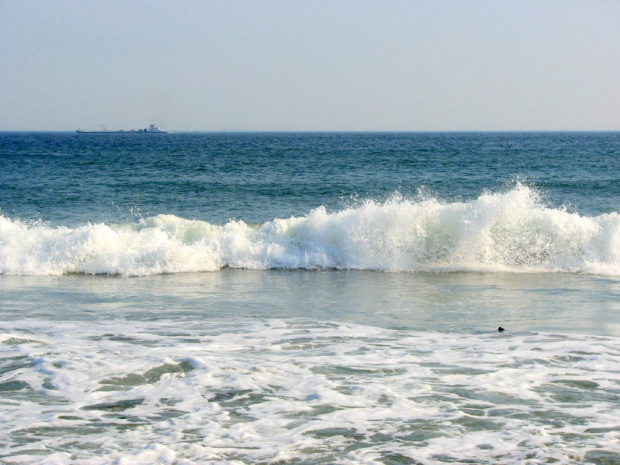 Październikowy spacer plażą... #ocean #plaza #mewy #ludzie #motyl #muszle #fale