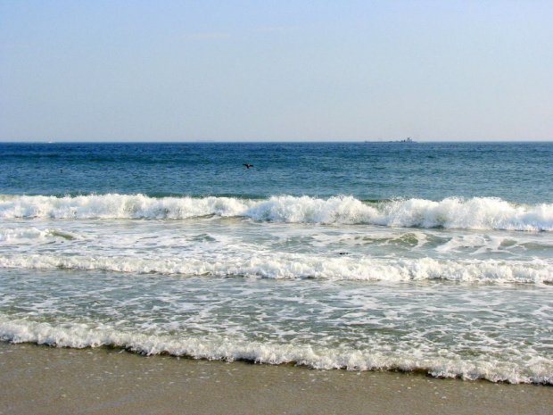 Październikowy spacer plażą... #ocean #plaza #mewy #ludzie #motyl #muszle #fale