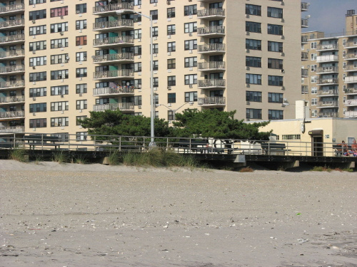 Październikowy spacer plażą... #ocean #plaza #mewy #ludzie #motyl